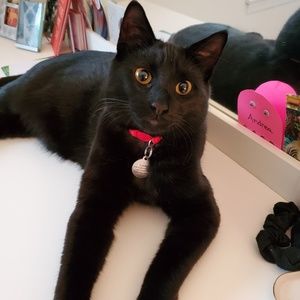 Meet your Posher, Liz